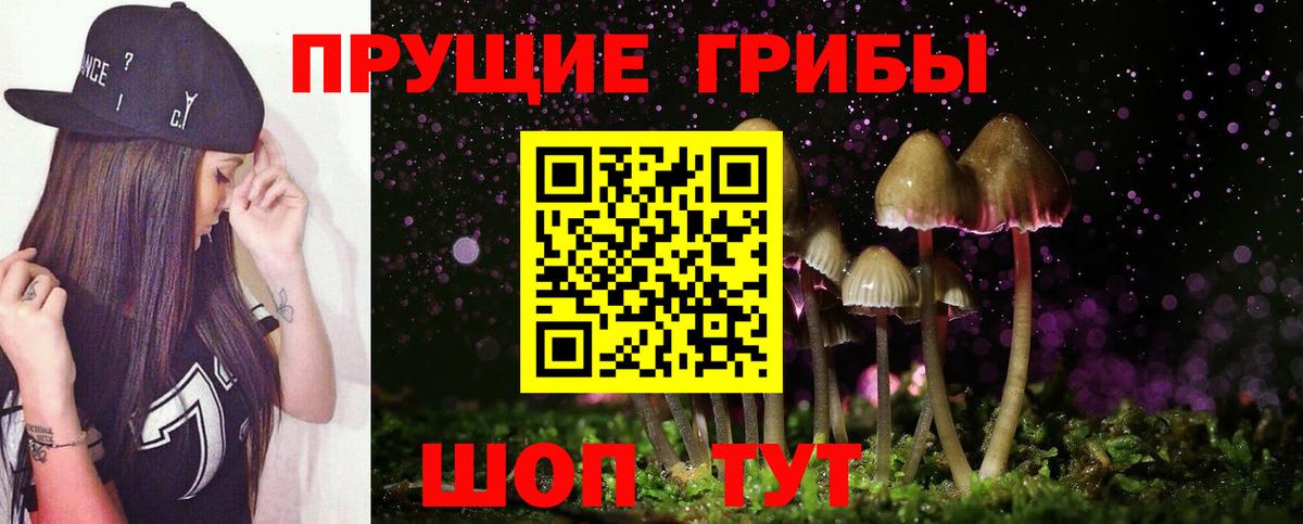 Галлюциногенные грибы Psilocybine cubensis Мценск